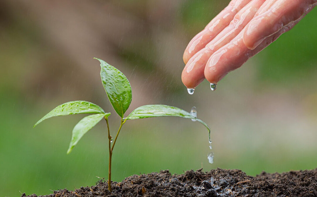 The Power of Karma: How Our Actions Shape Our Future